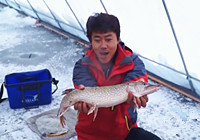 《野釣江湖》第7集 黑龍江南島湖冬釣白斑狗魚