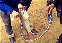 《野釣江湖》 數九寒冬作戰鰱鳙（上）