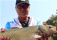 《野釣江湖》第13集 秋季大黑汀水庫探釣獲草魚
