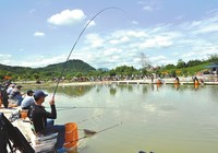 《媛來如此》地瓜講解競技比賽作釣猾魚的調漂技巧