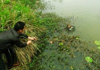 《媛來如此》地瓜講解飛抄抄網的選擇與摘魚技巧(上)