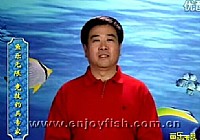 《魚樂無限》2011 第2期 長短子線誰先到底