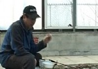《魚樂無限》2013 第24期 浮標家族中即將盛開的奇葩二