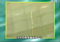 《魚樂無限》2011 第3期 好浮漂與壞浮漂的區別