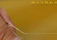 《魚樂無限》2013 第08期 手竿釣魚200問第三集