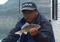《魚樂無限》2014 第27期 收獲的季節
