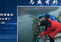 《魚樂無限》2014 第21期 悍將再展雄威收獲的季節四
