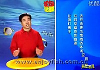 《魚樂無限》2011 第4期 滑口魚的吃食表現