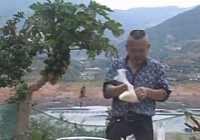 《釣遍中國玉米王》第5集:鏖戰攀枝花