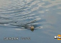 《漁我同行》第160集 初釣草鯪