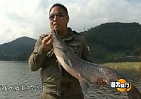 《漁我同行》第158159集 曼飛龍全攻略