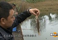 《漁我同行》第156集 普洱鄉間野釣