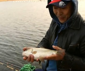 《漁我同行》第273集 再戰洪門水庫釣獲大鯽魚