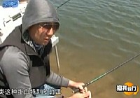 《漁我同行》第165集 單品釣肥水