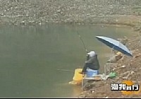 《漁我同行》第249集 化老狂拉黃尾