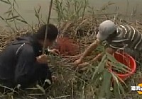 《漁我同行》第62集 老友趣釣