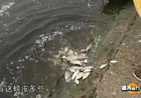 《漁我同行》第84集 平靜之戰