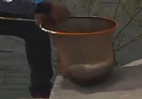 《漁我同行》第262集 臥牛水庫小崔釣草魚