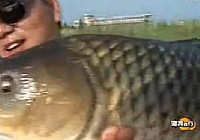 《漁我同行》第5集 野釣路上