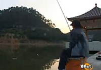 《漁我同行》第23集 塘龍搏鯉