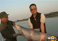 《漁我同行》第149集 云龍湖搏青下