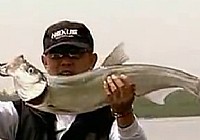 《水中掠食者》CCTV5水中掠食者 第3集