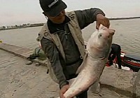 《野釣集結號》CCTV5精彩視頻集錦