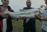 《野釣集結號》CCTV5 第3集