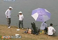 《野釣全攻略》CCTV5釣魚教學之野釣全攻略 第2集