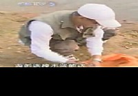 《野釣全攻略》CCTV5釣魚教學之野釣全攻略 第5集