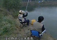 《CCTV釣魚教學視頻》第18集:四季釣魚的規律