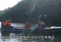 《CCTV釣魚教學視頻》第12集:水庫釣草魚技巧