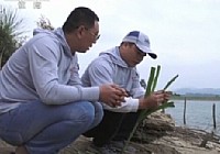 《游釣中國》第53集 海南儋州之三