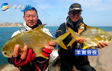 李大毛《游釣中國》第15集 外伶仃島釣行(下)