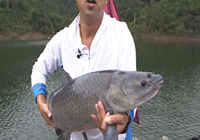 李大毛《游釣中國》第01集 高山水庫釣大青魚