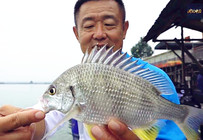 《游釣中國》第二季46集 廣東手竿作釣黃腳鱲 小魚鬧窩擒黑鯛