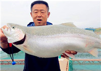 《游釣中國》第二季31集 大毛筏釣劉家峽 擒獲巨物三文魚