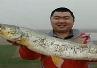 《游釣中國》第05集 釣鯉頻上羅非魚