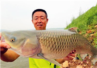 《游釣中國》第2季19集 大毛下三臺水庫釣獲草魚