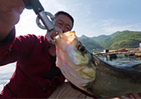 李大毛《游釣中國》第56集 羅蘭碼頭筏釣翹嘴