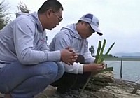 《游釣中國》第56集 海南屯昌（上）