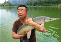 李大毛《游釣中國》第71集 泰國秀蘭湖路亞之旅