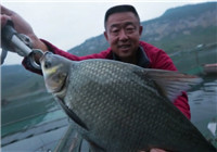 李大毛《游釣中國》第58集 貴州烏江筏釣大鳊魚