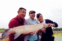 李大毛《游釣中國》第53集 蘇州黑坑手竿釣大青魚