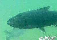 《游釣中國》第54集 海南儋州之四