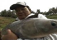 《游釣中國》第66集 山東臨朐釣獲三尾大鰱魚