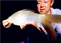 《游釣中國》第2季11集 大毛老師體驗夜釣瀾滄江