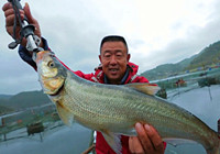 李大毛《游釣中國》第55集 遵義烏江智擒大翹嘴