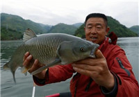 李大毛《游釣中國》第59集 再戰馬堵山手竿釣獲大草魚