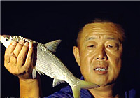 《游釣中國》第二季39集 大毛水庫低水位探釣 夜釣收獲黃鴨叫